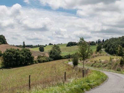 vanilla-countryside-fields-road vanilla-countryside-fields-road